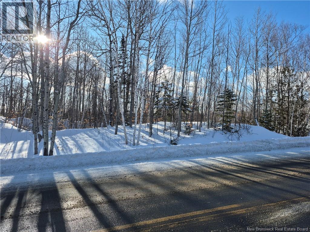 2.6 Acres Nicholas Denys, Nicholas Denys, New Brunswick  E8K 3E2 - Photo 2 - NB132652