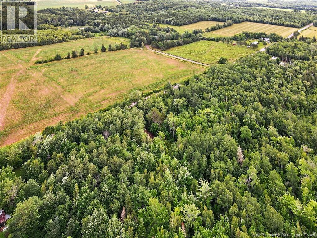 Lot Davis Road, Colpitts Settlement, New Brunswick  E4J 1B8 - Photo 11 - NB132654