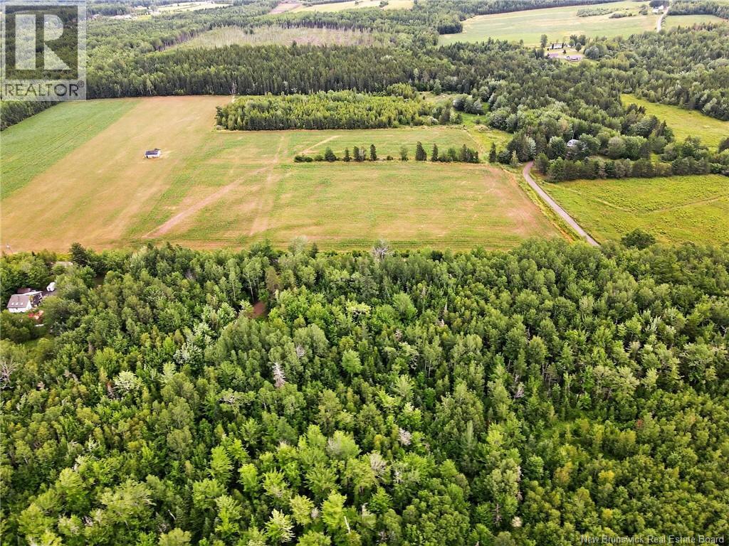 Lot Davis Road, Colpitts Settlement, New Brunswick  E4J 1B8 - Photo 13 - NB132654
