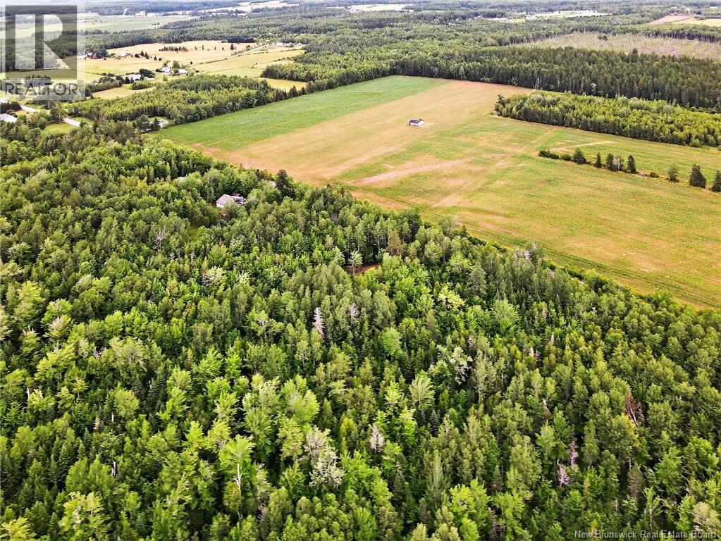 Lot Davis Road, Colpitts Settlement, New Brunswick  E4J 1B8 - Photo 14 - NB132654