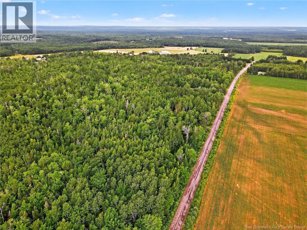 Lot Davis Road, Colpitts Settlement, New Brunswick  E4J 1B8 - Photo 2 - NB132654