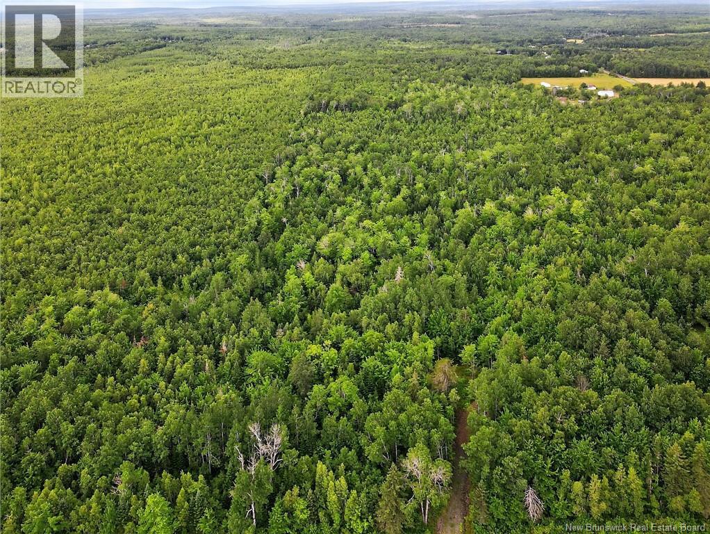 Lot Davis Road, Colpitts Settlement, New Brunswick  E4J 1B8 - Photo 4 - NB132654