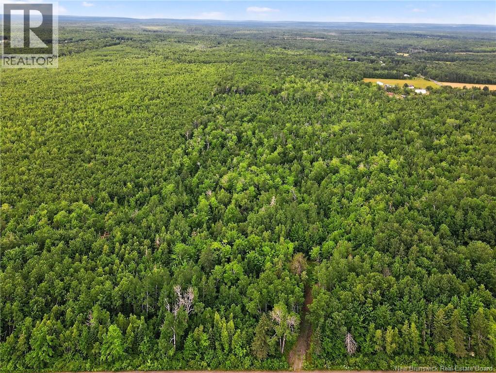 Lot Davis Road, Colpitts Settlement, New Brunswick  E4J 1B8 - Photo 5 - NB132654
