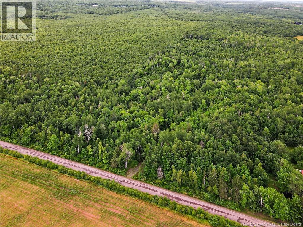 Lot Davis Road, Colpitts Settlement, New Brunswick  E4J 1B8 - Photo 7 - NB132654