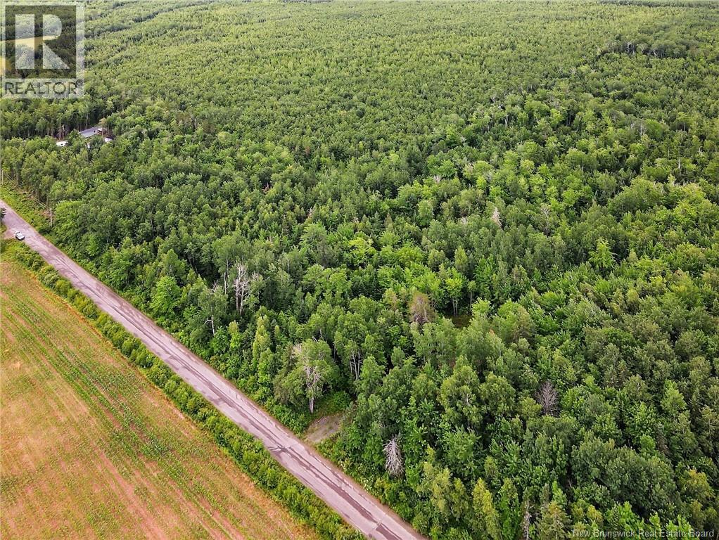 Lot Davis Road, Colpitts Settlement, New Brunswick  E4J 1B8 - Photo 8 - NB132654