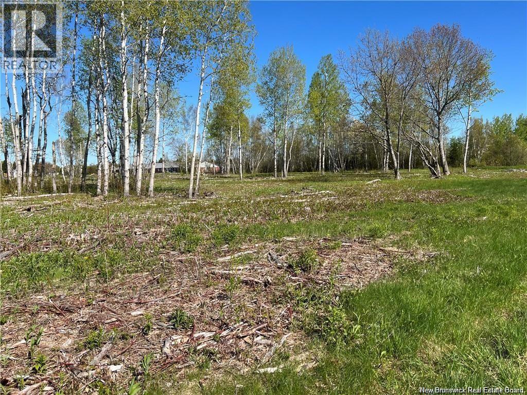 Lots Mooney Creek, Richibucto, New Brunswick E4W 3Z5 - Photo 11 - NB132664