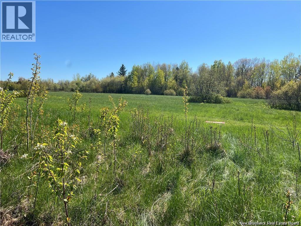 Lots Mooney Creek, Richibucto, New Brunswick E4W 3Z5 - Photo 12 - NB132664