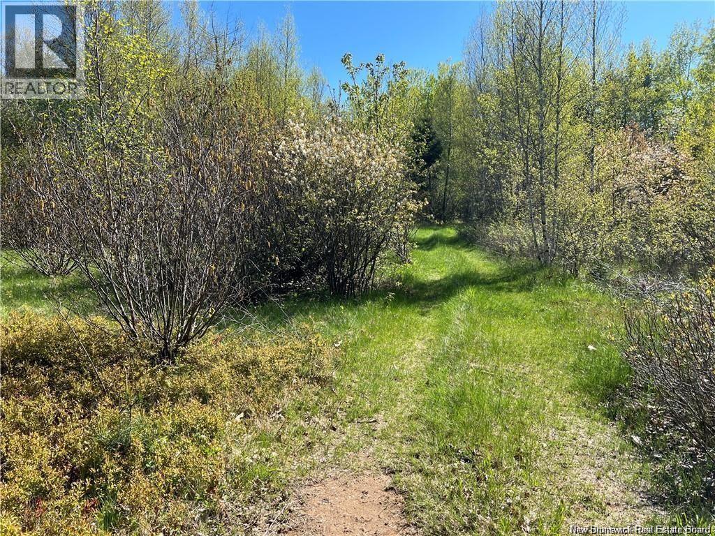 Lots Mooney Creek, Richibucto, New Brunswick E4W 3Z5 - Photo 14 - NB132664