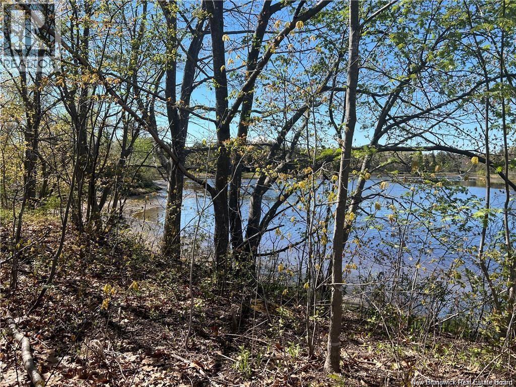 Lots Mooney Creek, Richibucto, New Brunswick E4W 3Z5 - Photo 17 - NB132664