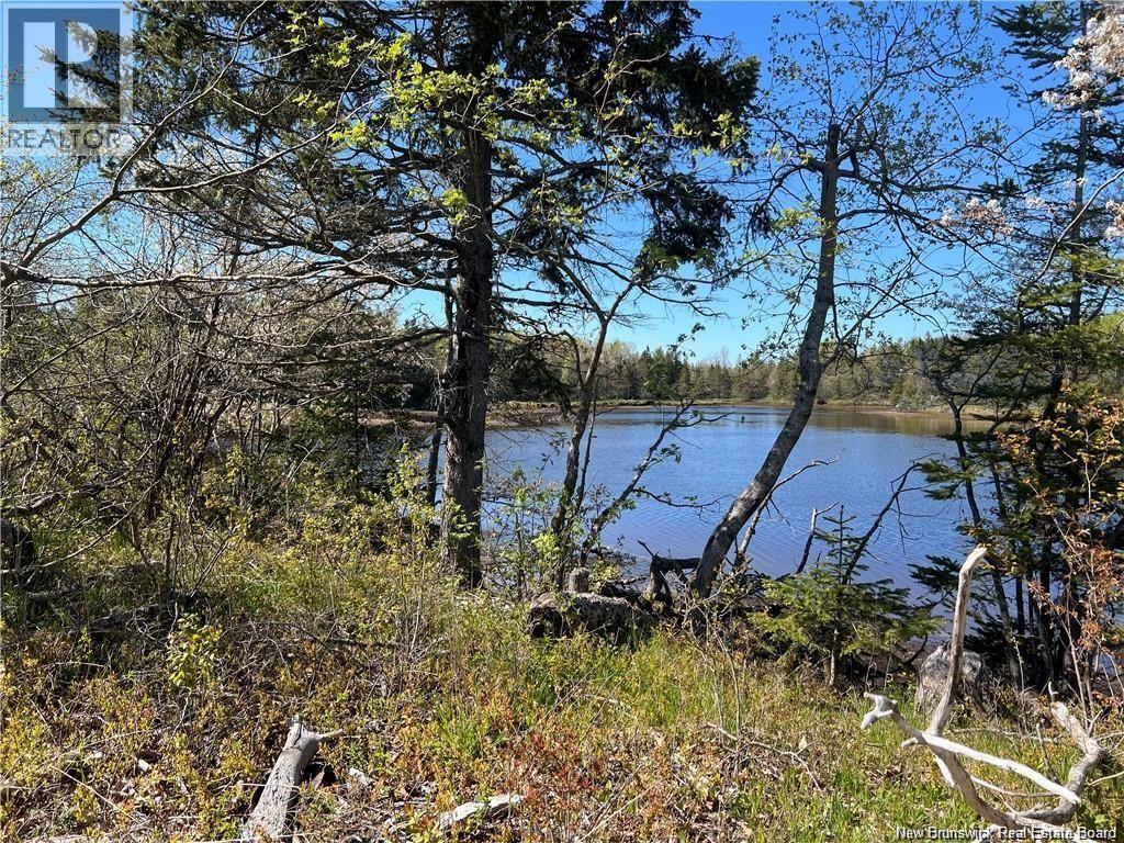 Lots Mooney Creek, Richibucto, New Brunswick E4W 3Z5 - Photo 21 - NB132664