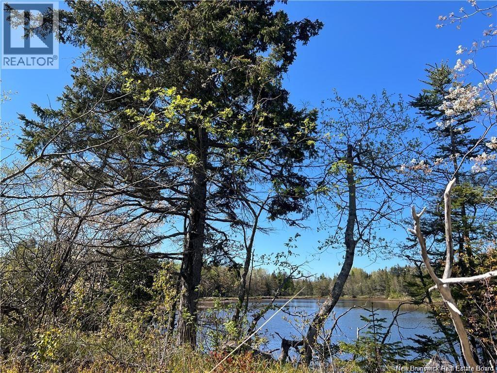 Lots Mooney Creek, Richibucto, New Brunswick E4W 3Z5 - Photo 22 - NB132664
