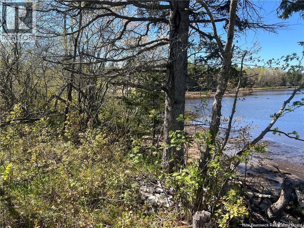 Lots Mooney Creek, Richibucto, New Brunswick E4W 3Z5 - Photo 23 - NB132664