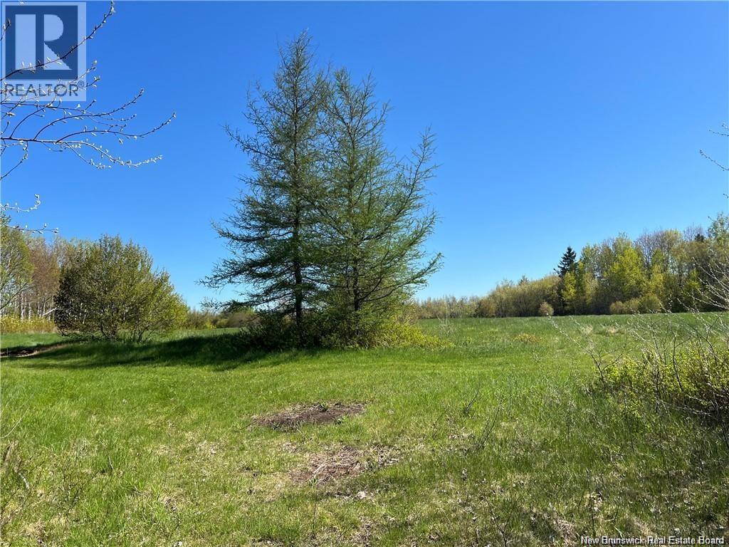 Lots Mooney Creek, Richibucto, New Brunswick E4W 3Z5 - Photo 24 - NB132664