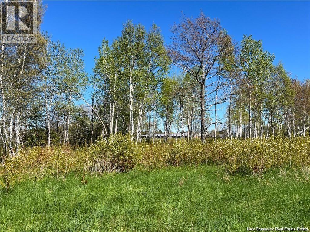 Lots Mooney Creek, Richibucto, New Brunswick E4W 3Z5 - Photo 28 - NB132664