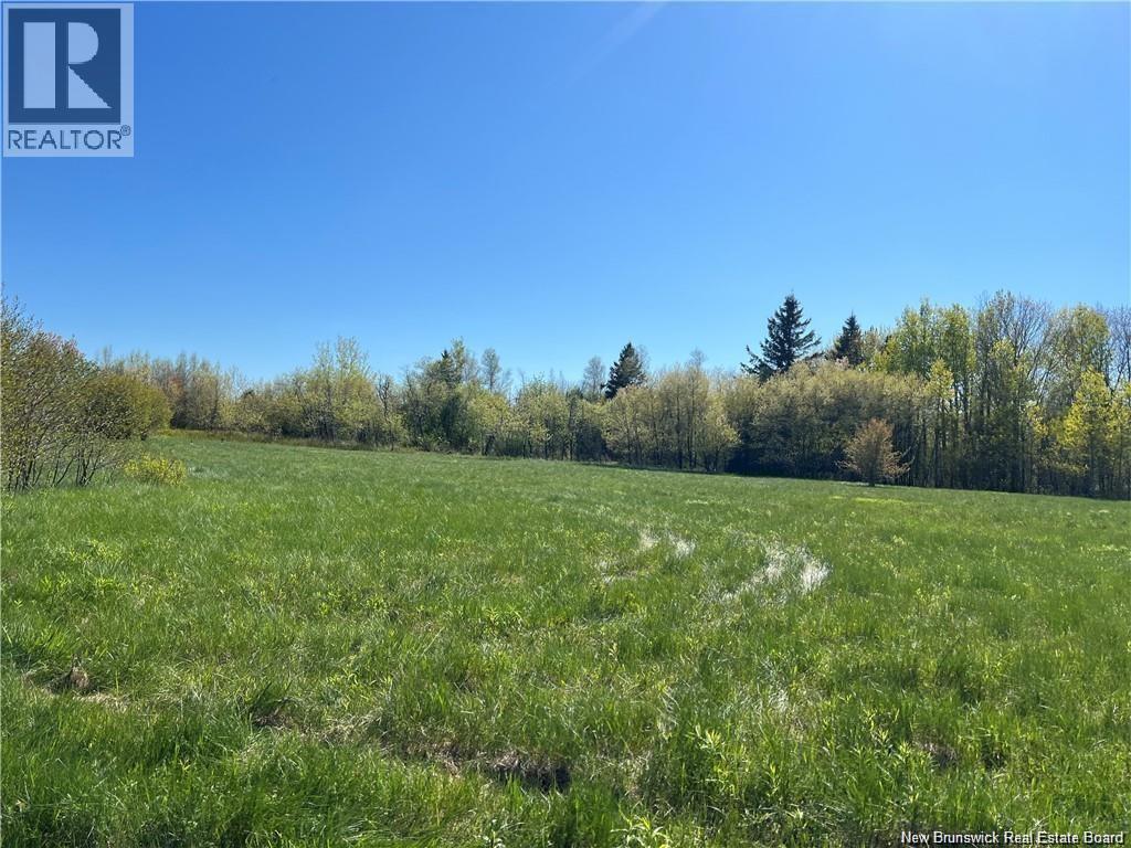 Lots Mooney Creek, Richibucto, New Brunswick E4W 3Z5 - Photo 29 - NB132664