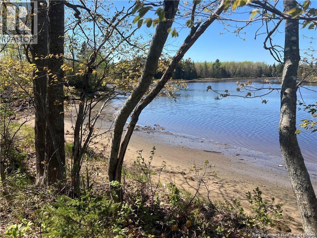Lots Mooney Creek, Richibucto, New Brunswick E4W 3Z5 - Photo 6 - NB132664