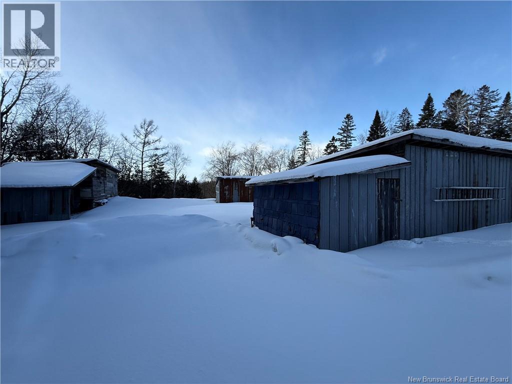2833 Route 108, New Denmark, New Brunswick  E7G 2W4 - Photo 16 - NB132691