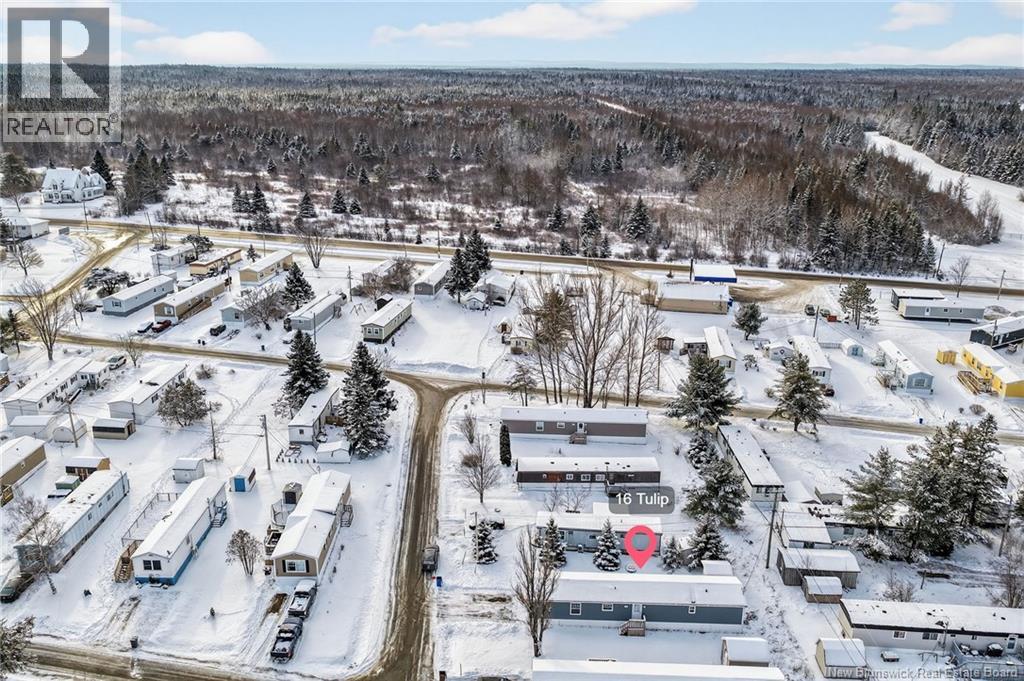 16 Tulip, Riverview, New Brunswick  E1B 5B5 - Photo 5 - NB132675