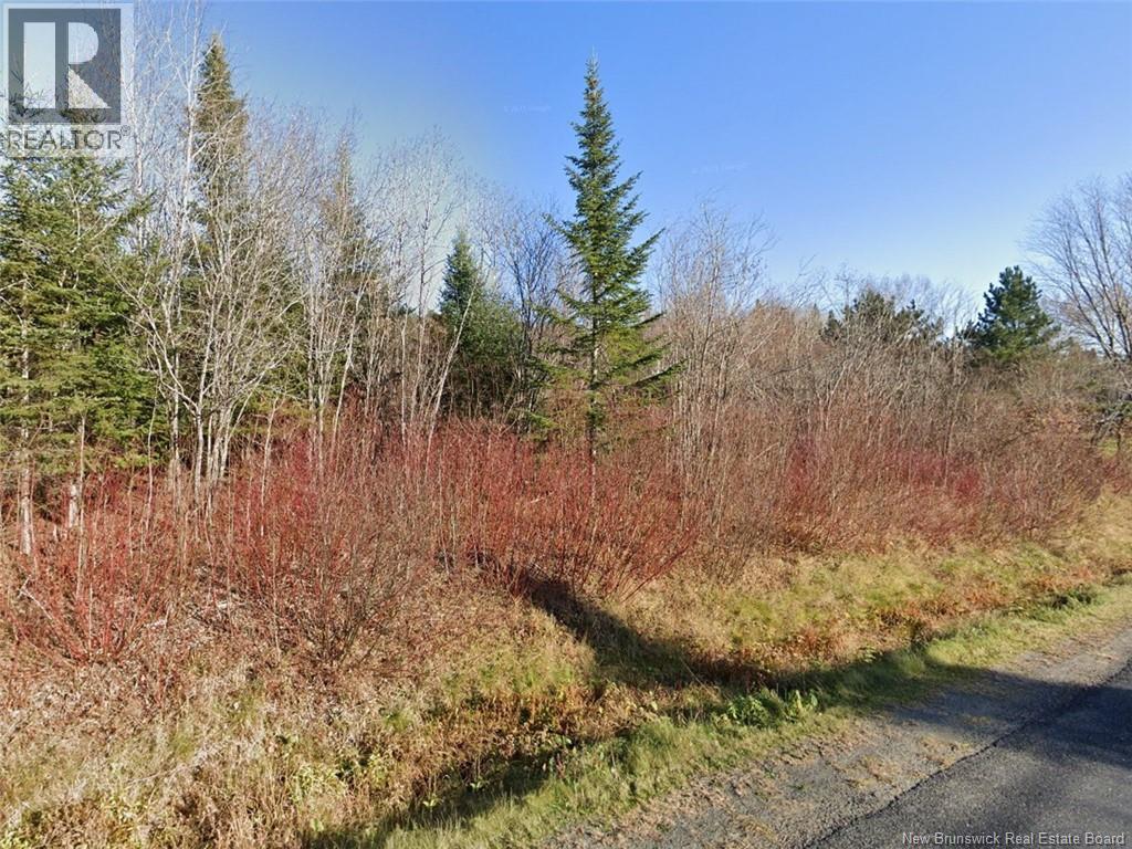 175 Riceville Road, St-Hilaire, New Brunswick  E3V 4S7 - Photo 2 - NB132718