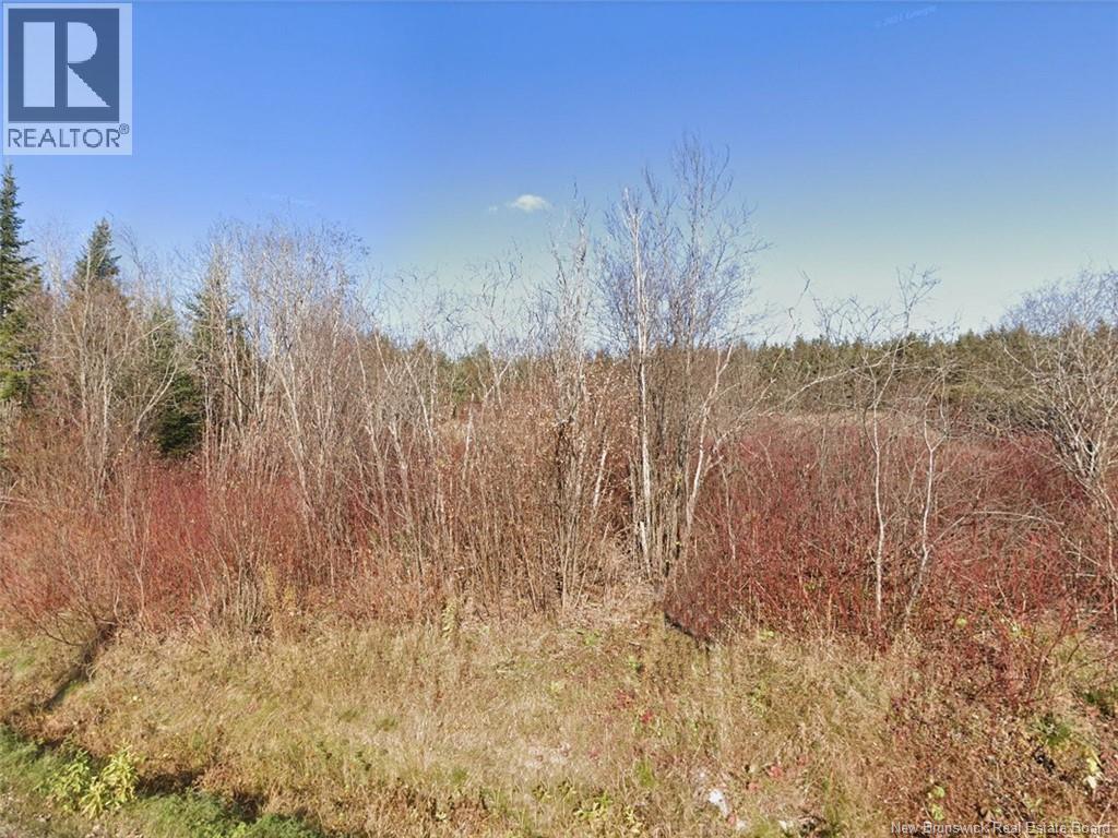 175 Riceville Road, St-Hilaire, New Brunswick  E3V 4S7 - Photo 3 - NB132718