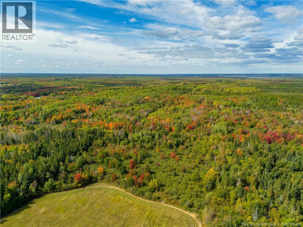 Lot 24-2 Route 133, Grande-Digue, New Brunswick  E4R 5C8 - Photo 15 - NB132769