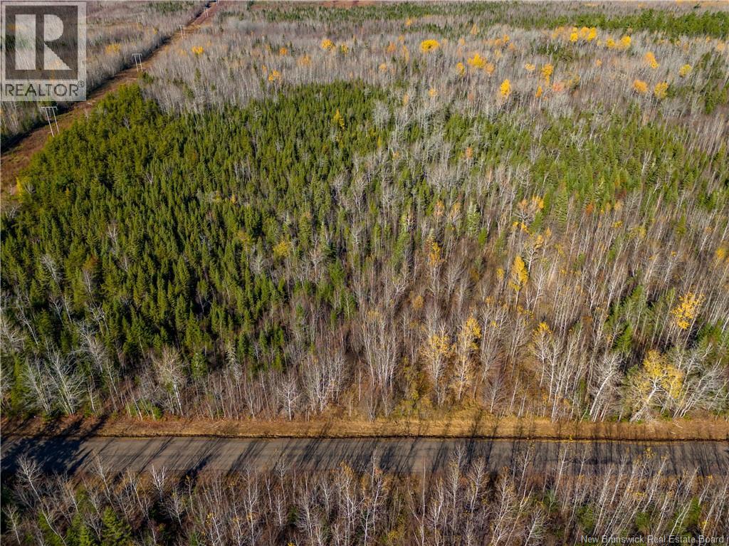 Lot 25-2 Bateman Mill Road, Shediac River, New Brunswick  E4P 2Z6 - Photo 11 - NB131179