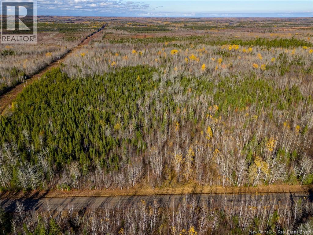 Lot 25-2 Bateman Mill Road, Shediac River, New Brunswick  E4P 2Z6 - Photo 17 - NB131179