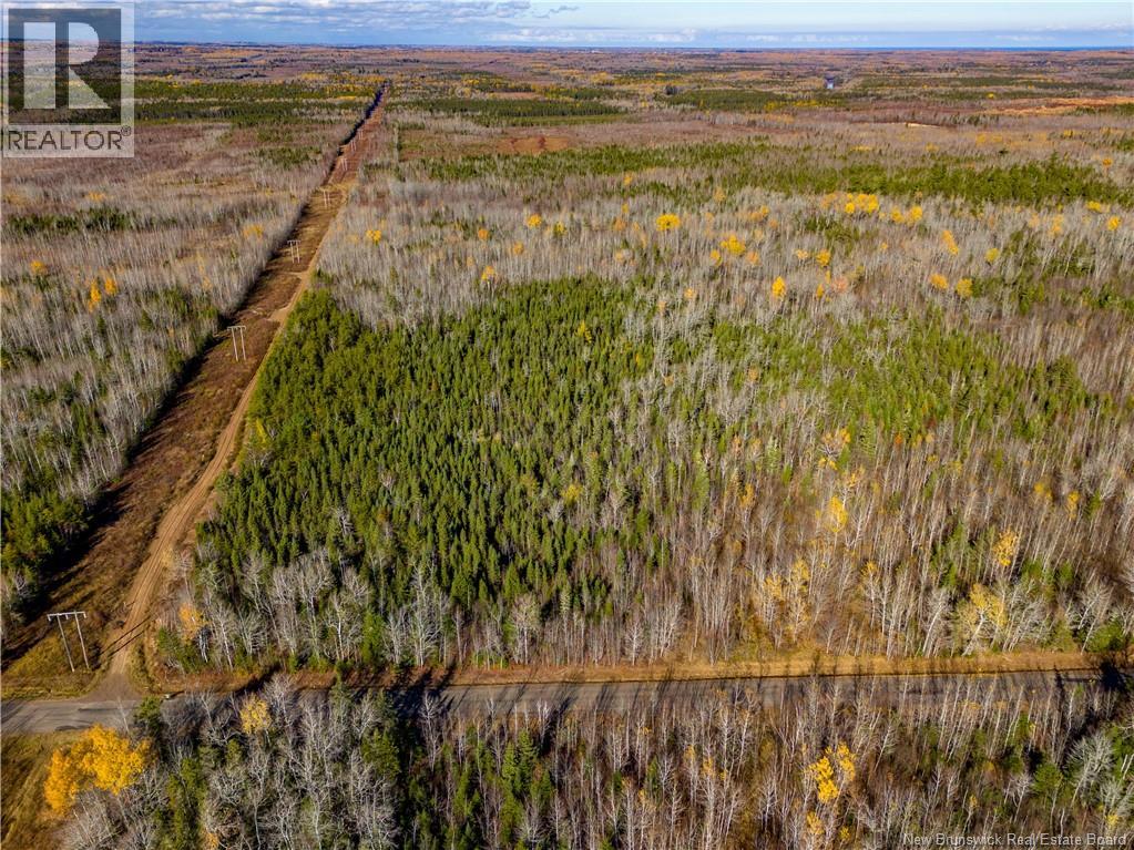 Lot 25-2 Bateman Mill Road, Shediac River, New Brunswick  E4P 2Z6 - Photo 19 - NB131179