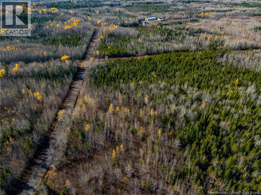 Lot 25-2 Bateman Mill Road, Shediac River, New Brunswick  E4P 2Z6 - Photo 25 - NB131179