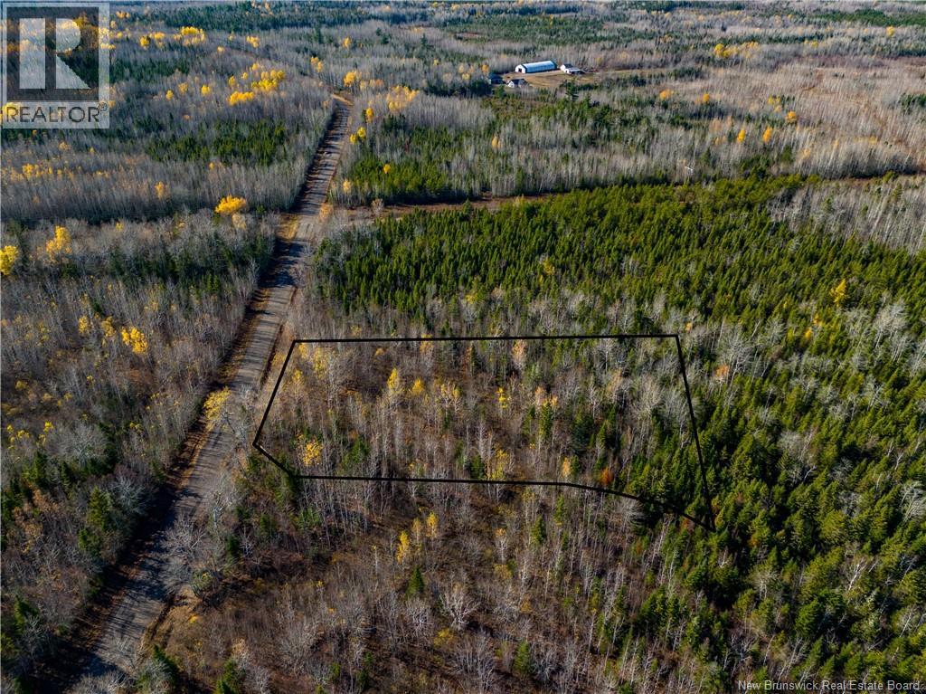 Lot 25-2 Bateman Mill Road, Shediac River, New Brunswick  E4P 2Z6 - Photo 26 - NB131179