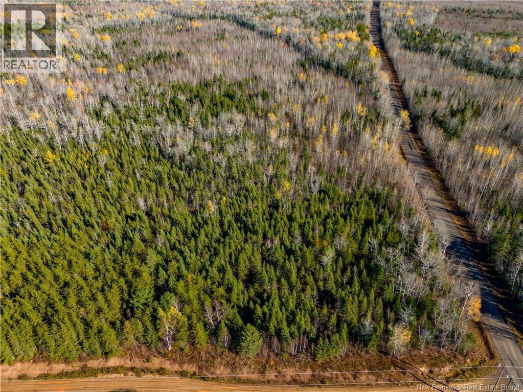 Lot 25-2 Bateman Mill Road, Shediac River, New Brunswick  E4P 2Z6 - Photo 39 - NB131179