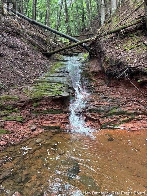 Na Grand Pass Court, Douglas, New Brunswick  O0O 0O0 - Photo 19 - NB132741