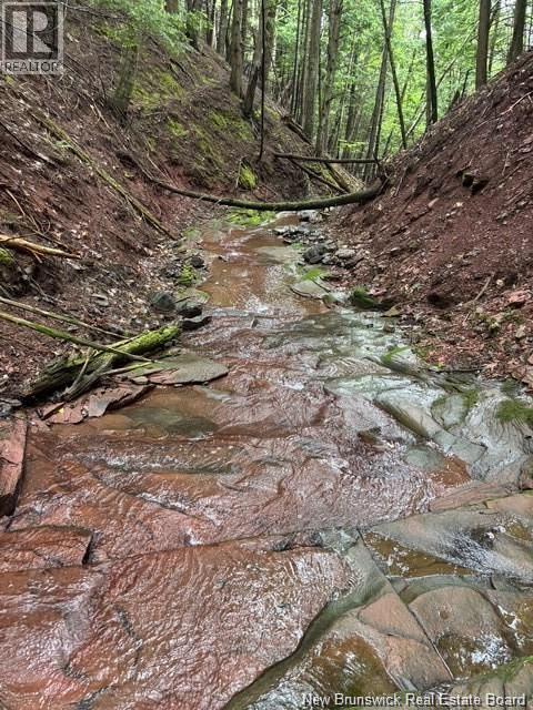 Na Grand Pass Court, Douglas, New Brunswick  O0O 0O0 - Photo 20 - NB132741