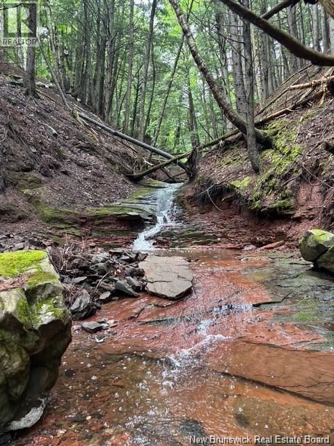 Na Grand Pass Court, Douglas, New Brunswick  O0O 0O0 - Photo 22 - NB132741