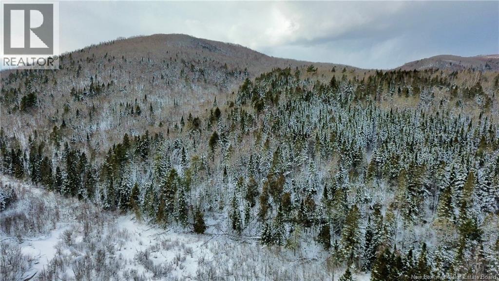 Lot Kintore Road, Kintore, New Brunswick  E7H 2L4 - Photo 13 - NB132556