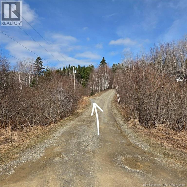 Lot Kintore Road, Kintore, New Brunswick  E7H 2L4 - Photo 17 - NB132556