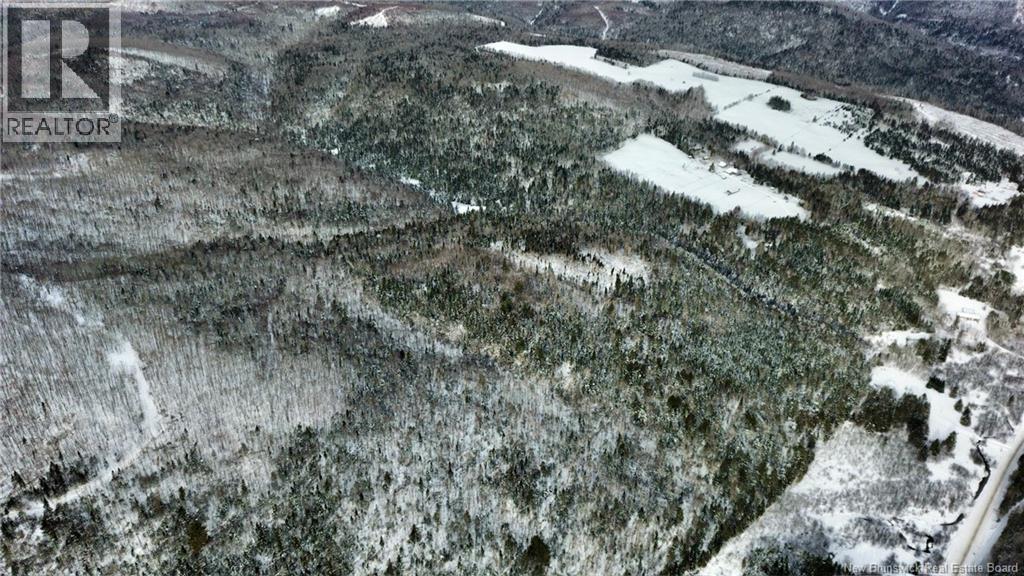 Lot Kintore Road, Kintore, New Brunswick E7H 2L4 - Photo 23 - NB132556
