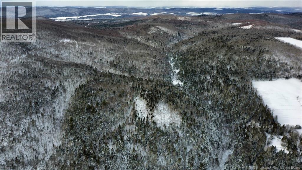 Lot Kintore Road, Kintore, New Brunswick  E7H 2L4 - Photo 7 - NB132556