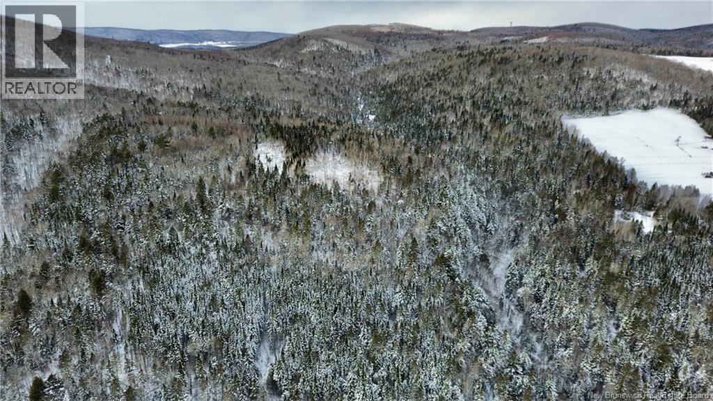 Lot Kintore Road, Kintore, New Brunswick  E7H 2L4 - Photo 8 - NB132556