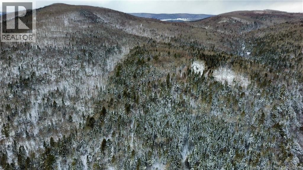 Lot Kintore Road, Kintore, New Brunswick  E7H 2L4 - Photo 9 - NB132556