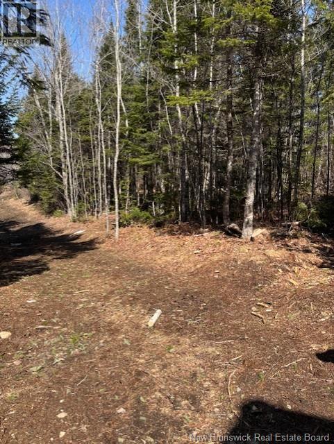 75 Pomeroy Ridge Road, Pomeroy Ridge, New Brunswick  E3L 5L9 - Photo 8 - NB132790