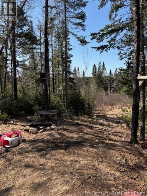 75 Pomeroy Ridge Road, Pomeroy Ridge, New Brunswick  E3L 5L9 - Photo 9 - NB132790