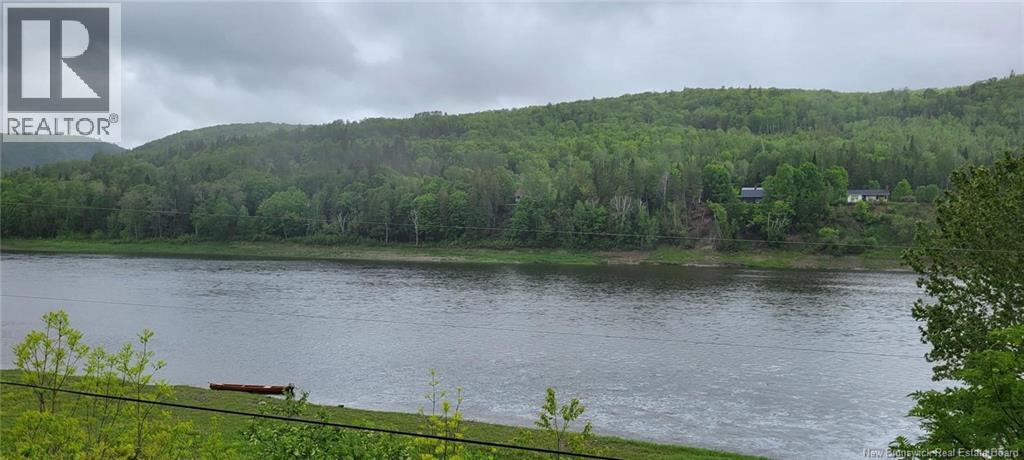 Vacant Lot & Restigouche River Road, Mann Mountain Settlement, New Brunswick E3N 4X1 - Photo 10 - NB132859