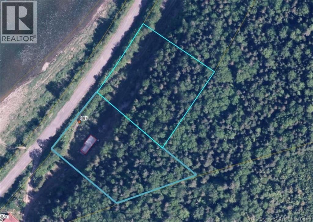 Vacant Lot & Restigouche River Road, Mann Mountain Settlement, New Brunswick E3N 4X1 - Photo 7 - NB132859