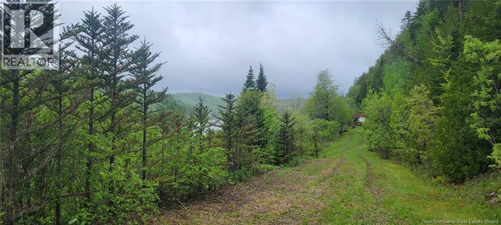 Vacant Lot & Restigouche River Road, Mann Mountain Settlement, New Brunswick E3N 4X1 - Photo 9 - NB132859
