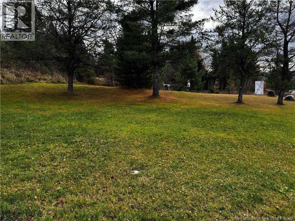 235 Iroquois, Saint-Basile, New Brunswick  E7C 1X7 - Photo 7 - NB132863