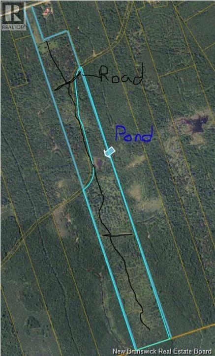37.8 Hec Bettsburg Road, Bettsburg, New Brunswick  E9C 1L1 - Photo 2 - NB132948