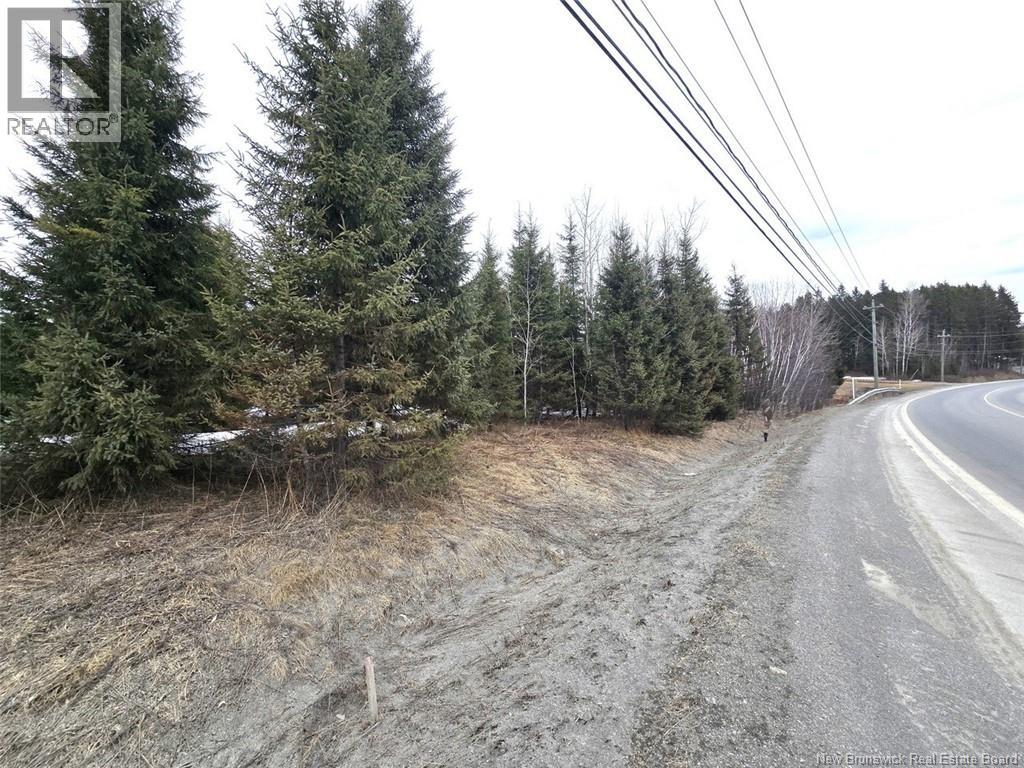 Lot Route 120, Clair, New Brunswick E7A 1X6 - Photo 2 - NB132739