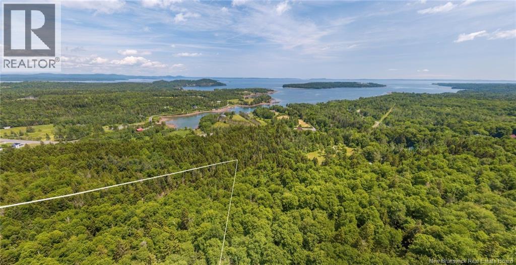 Land Chamcook Lake No. 1 Road, Chamcook, New Brunswick  E5B 2Z4 - Photo 2 - NB132987