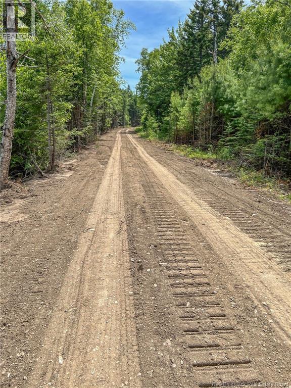Land Chamcook Lake No. 1 Road, Chamcook, New Brunswick  E5B 2Z4 - Photo 4 - NB132987